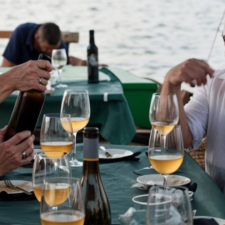 Paseo en Barca con Cata de Vino o Vermut por la Albufera (El Palmar, Valencia)