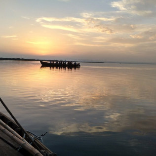 Paseo en Barca Guiado por la Albufera con Visita a Barraca (El Palmar, Valencia)