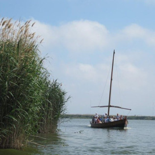 Paseo en Barca Guiado por la Albufera con Visita a Barraca (El Palmar, Valencia)