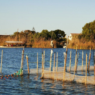 Paseo en Barca Guiado por la Albufera con Visita a Barraca (El Palmar, Valencia)