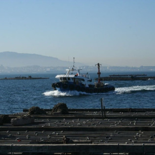 RUTA DEL MEJILLÓN: Paseo en Barco y Degustación de Mejillón (Pontevedra)