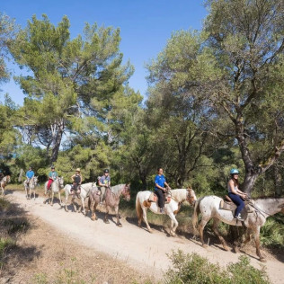 Excursión a Caballo y Brunch o Comida (Mallorca)