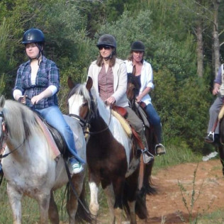 Excursión a Caballo y Brunch o Comida (Mallorca)