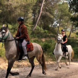 Excursión a Caballo y Brunch o Comida (Mallorca)