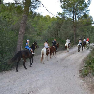 Excursión a Caballo y Brunch o Comida (Mallorca)