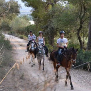Excursión a Caballo y Brunch o Comida (Mallorca)