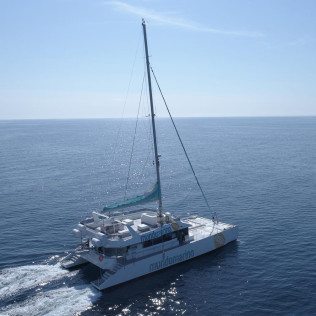Paseo en Catamarán: Bahía de Málaga (Málaga)