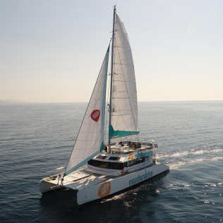 Paseo en Catamarán: Bahía de Málaga (Málaga)