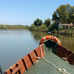 Paseo en Barca Privada por la Albufera para dos (Valencia)