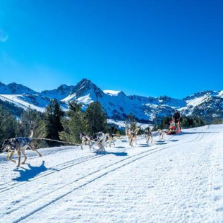 OFERTA Mushing: 2 Km en Paseo en Trineo tirado por Perros y Seguro (Andorra)