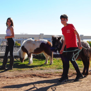 Paseo en Poni con Opción a Contacto para Niños en el Montseny (Barcelona)