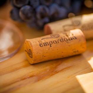 Picnic en el Viñedo con Vinos DO Empordà para dos (Girona)