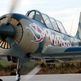 Piloto por un Día en Avión Militar YAK-52 con Vídeo (Igualada, Barcelona)