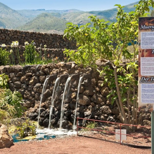 Entrada a Parque Etnográfico y Jardín Botánico Pirámides de Güímar (Tenerife)