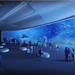 Entradas al Acuario Poema del Mar (Las Palmas de Gran Canaria)