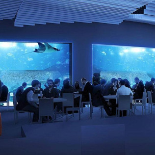 Entradas al Acuario Poema del Mar (Las Palmas de Gran Canaria)