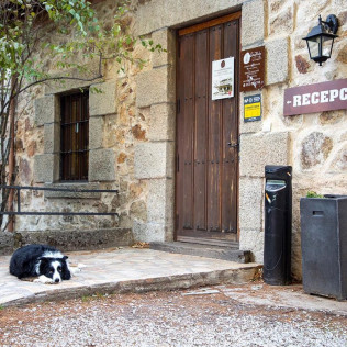 Escapada con Desayuno en Posada Peña Pintada (Cercedilla, Madrid)
