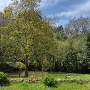 Escapada de 2 Noches con Desayuno en Trisileja en Novales (Cantabria)