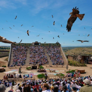 Entrada Combinada Preferente: Parque Puy du Fou España y Espectáculo Nocturno "El Sueño de Toledo" (Toledo)