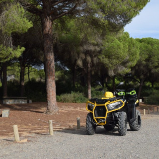 Ruta en Quad (Chiclana o Conil de la Frontera, Cádiz)