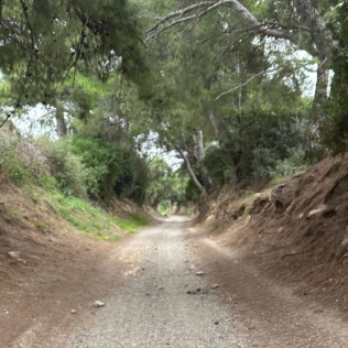 Ruta en Quad para dos (Salou, Tarragona)