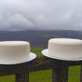 Curso de Quesería y Productos Lácteos (Santa Eulalia de Oscos, Asturias)