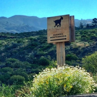 Visita Turística: Visita y Degustación de Queso en Quesería Montesdeoca (Adeje, Santa Cruz de Tenerife)