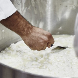 Taller de Queso Fresco: Elaboración, Visita a la Fábrica y Degustación de Queso en CabeSota (Bolaños de Calatrava, Ciudad Real)