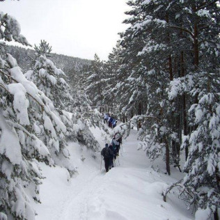 Ruta con Raquetas de Nieve por Santa Inés - Peñas Albas (Soria)