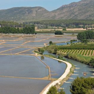 Rafting en los Arrozales de Calasparra (Murcia)