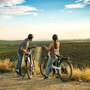 Raimat Sobre Ruedas: Visita a Bodega, Paseo por Raimat Natura en Bicicleta Eléctrica y Degustación de Vinos y Cava (Lleida)