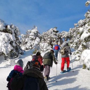 Ruta en Raquetas de Nieve por la Sierra de Madrid (Madrid)