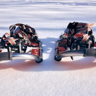 Excursión con Raquetas de Nieve (Espot, Lleida)