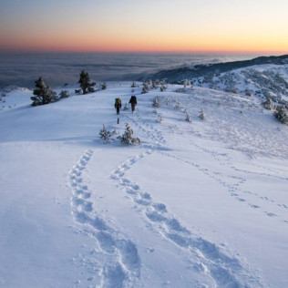 Raquetas de Nieve por la Noche (Navacerrada, Madrid)