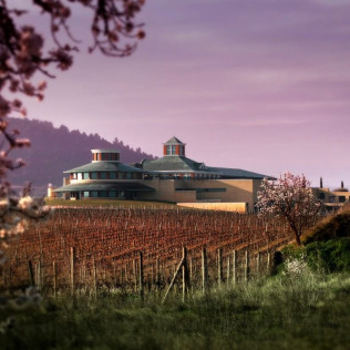 Comida en Restaurante Panorámico Vivanco (Briones, La Rioja)
