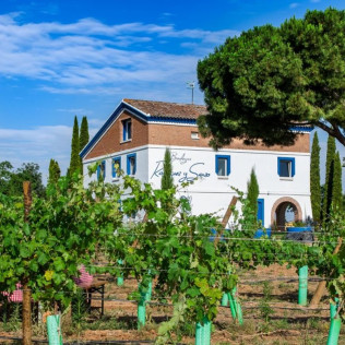 Escapada de 2 Noches con Visita a Bodega y Cata de Vinos en Bodegas Rodríguez y Sanzo (Rueda, Valladolid)