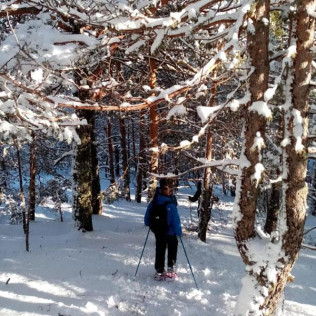 Ruta en Raquetas de Nieve con Luna Llena en Navacerrada (Madrid)