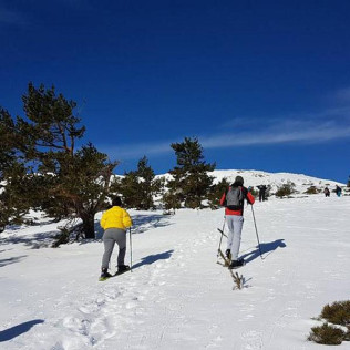 Ruta en Raquetas de Nieve en Navacerrada (Madrid)