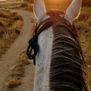 Ruta a Caballo y Mini Pícnic para dos (Colladillo, Segovia)