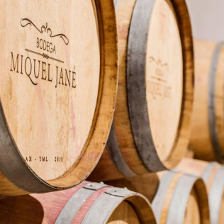 Ruta en Bicicleta y Visita Completa a Bodega con Degustación y Cata de Vinos en Bodega Miquel J. Jané (Barcelona)