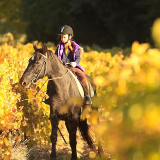 Ruta a Caballo y Visita Completa a Bodega con Degustación y Cata de Vinos en Bodega Miquel J. Jané (Barcelona)