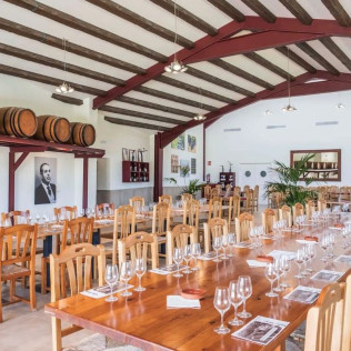 Ruta a Caballo y Visita Completa a Bodega con Degustación y Cata de Vinos en Bodega Miquel J. Jané (Barcelona)