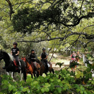 Ruta a Caballo por Sierra Oeste (Robledo de Chavela, Madrid)