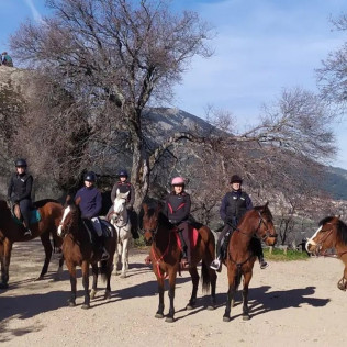 Ruta a Caballo por Sierra Oeste (Robledo de Chavela, Madrid)