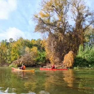 Ruta en Kayak Migjorn - Illa de Buda (Deltebre, Tarragona)