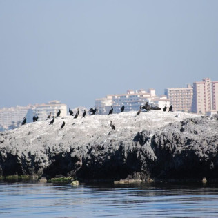 Ruta en Golondrina por las 5 Islas del Mar Menor (Murcia)