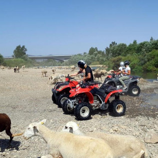 Ruta en Quad con Fotos y Vídeos (Málaga)