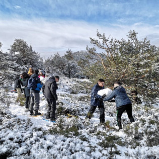 Ruta en Raquetas de Nieve, Construcción de Iglús y Paseo en Trineo (Madrid)