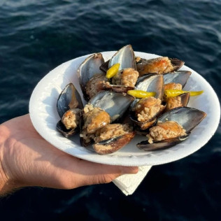 Ruta entre Bateas: Visita a los Cultivos de Mejillón en la Ría de Arousa (Pontevedra)