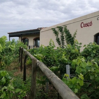 Ruta en Land Rover por las Viñas con Cata de Vino y Aperitivo en Caves Cuscó Berga (Les Gunyoles, Barcelona)